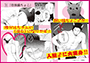 任侠猫ちょこ