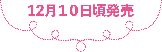 １２月１０日頃発売