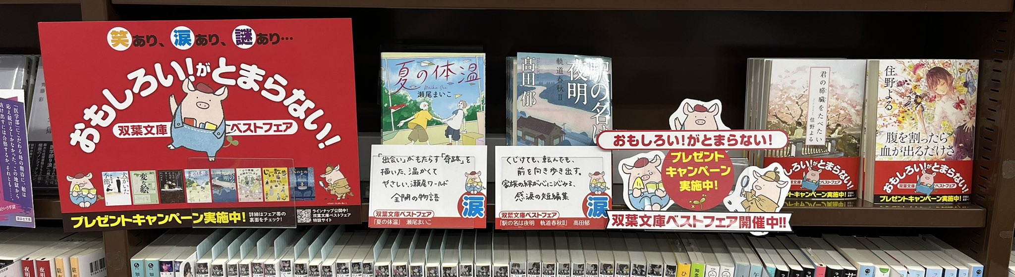 ＷｏｎｄｅｒＧＯＯ　八街店