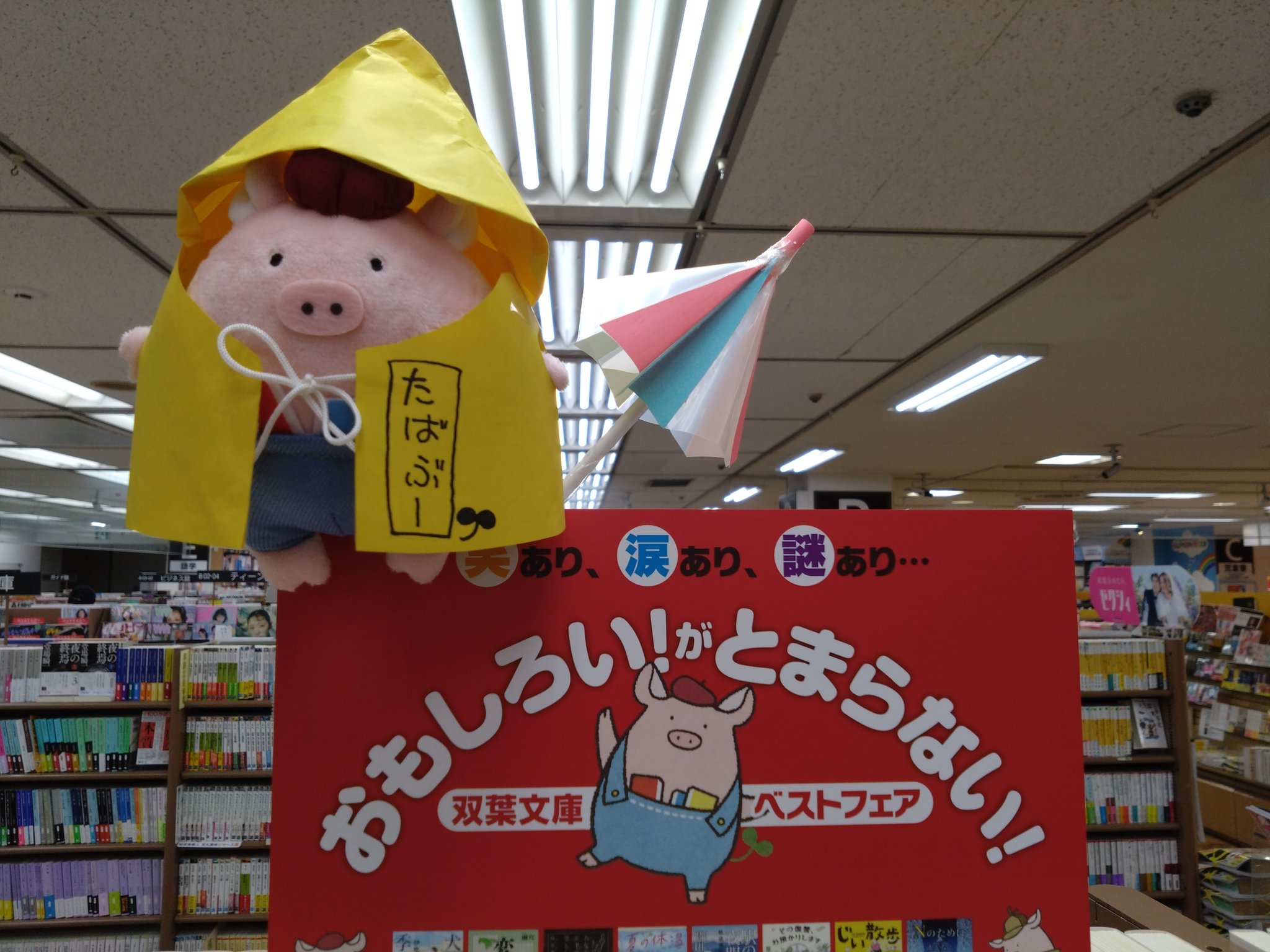 兵庫県／紀伊國屋書店　加古川店