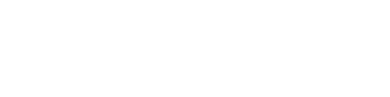 警察庁の公安秘密組織『十三階』。この組織は国家の異分子を排除するためには、ときに非合法な捜査も厭わない。若き刑事・黒江律子は北陸新幹線爆破テロを起こした『名もなき戦士団』を壊滅するため、女さえも武器にして捜査にまい進する。接触したテロリストを愛してしまったかもしれない——捜査の過程で悩み苦しむ律子は、果たして首謀者「スノウ・ホワイト」を逮捕できるのか!?