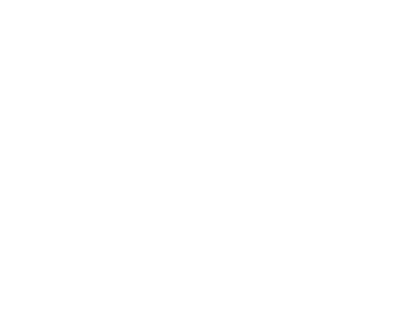 黒江律子 クロエリツコ 警察庁警備局の公安秘密組織『十三階』古池班所属、29歳の巡査部長。情報提供者に性を提供する覚悟を持ってまで諜報活動にあたっている。県議会議員の父親は８歳の時に刺殺された。趣味はスニーカー蒐集。