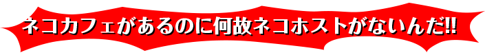 ネコカフェがあるのに何故ネコホストがないんだ!!