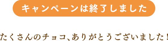 キャンペーンは終了しました たくさんのチョコ、ありがとうございました！